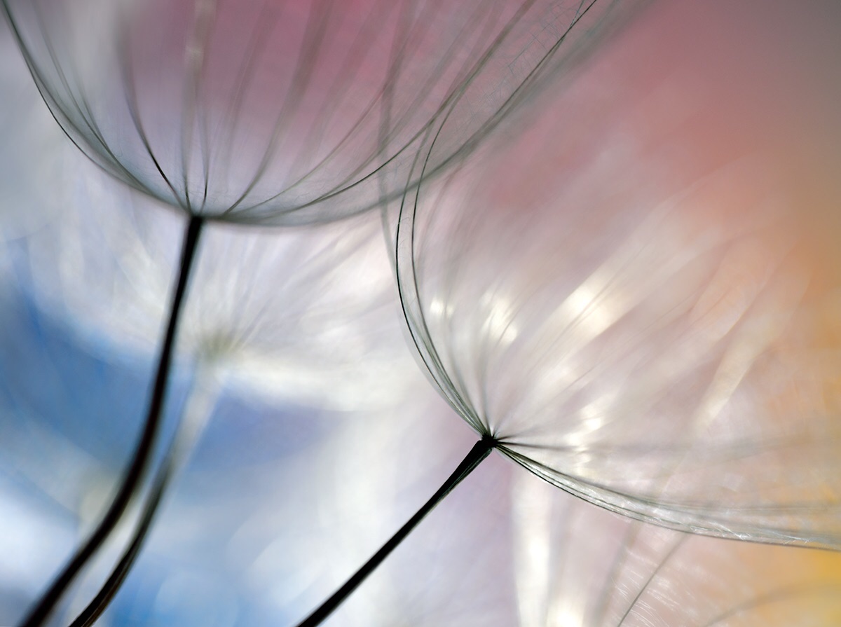 As Light As a Feather