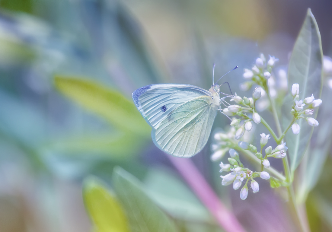 Blessings of Spring