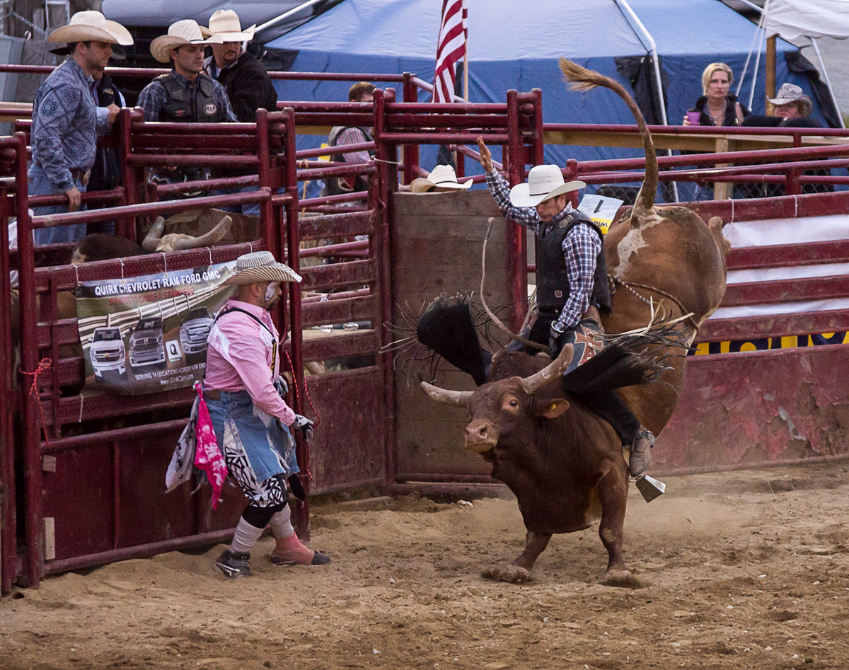 Bull Rider