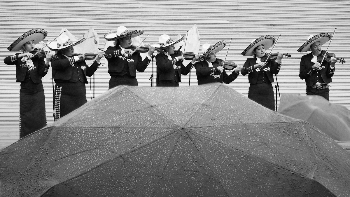 mariachi en la lluvia