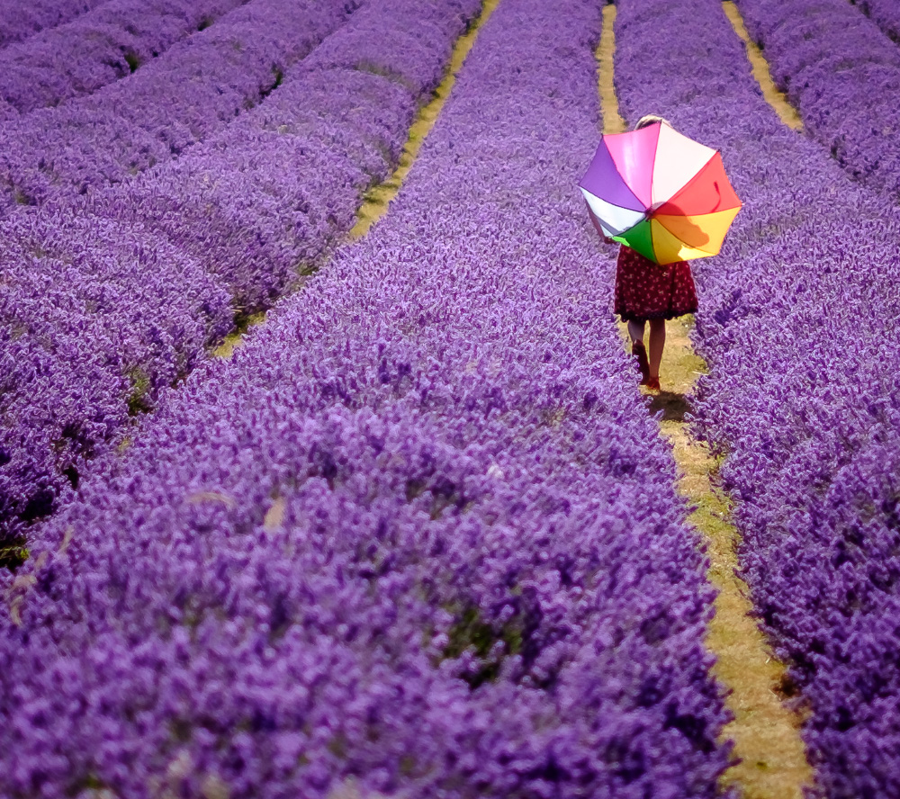 Under my umbrella