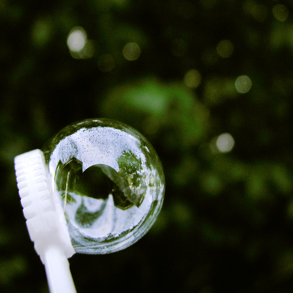 Transient Fisheye Mirror