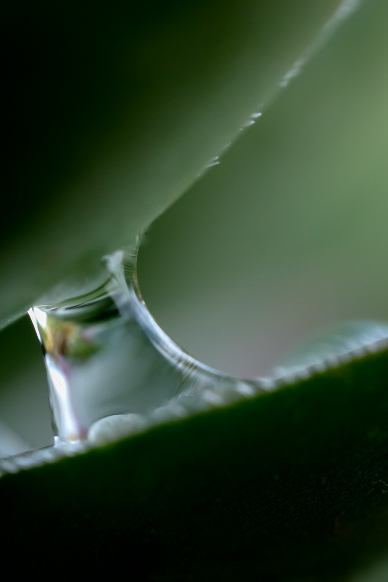 Surface Tension