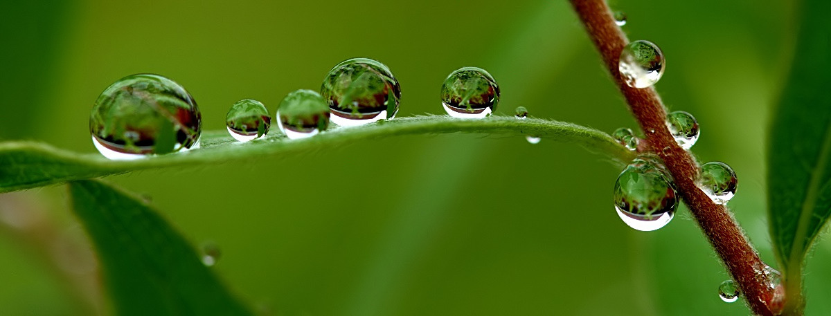 Just A Few Drops
