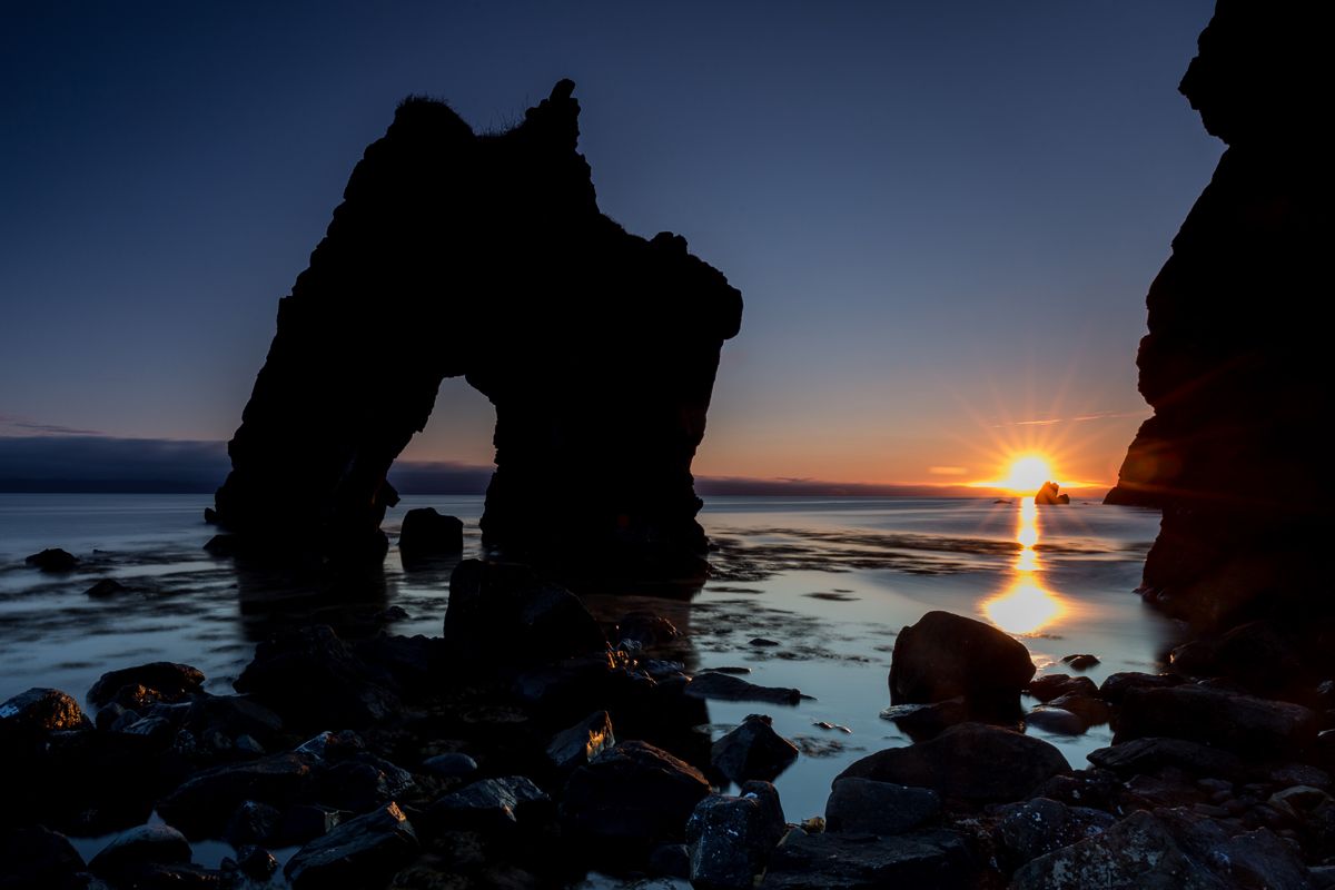 Dinosaur rock