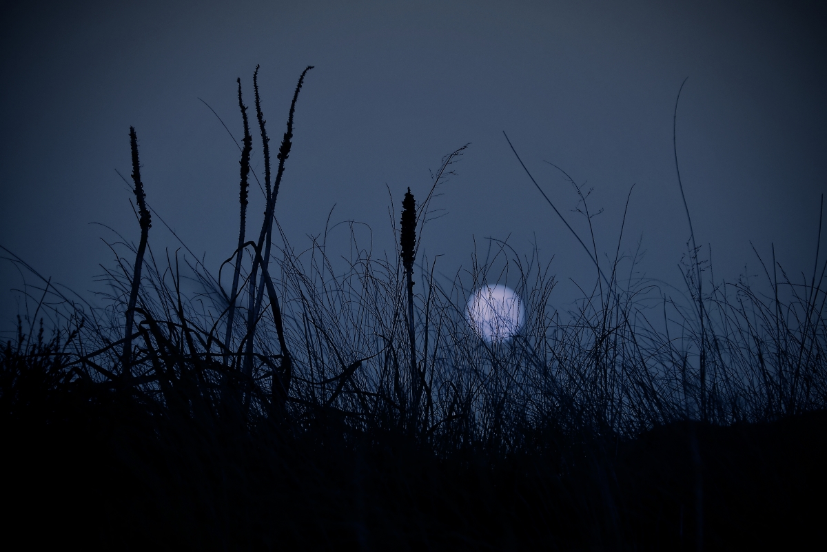 A blue moon