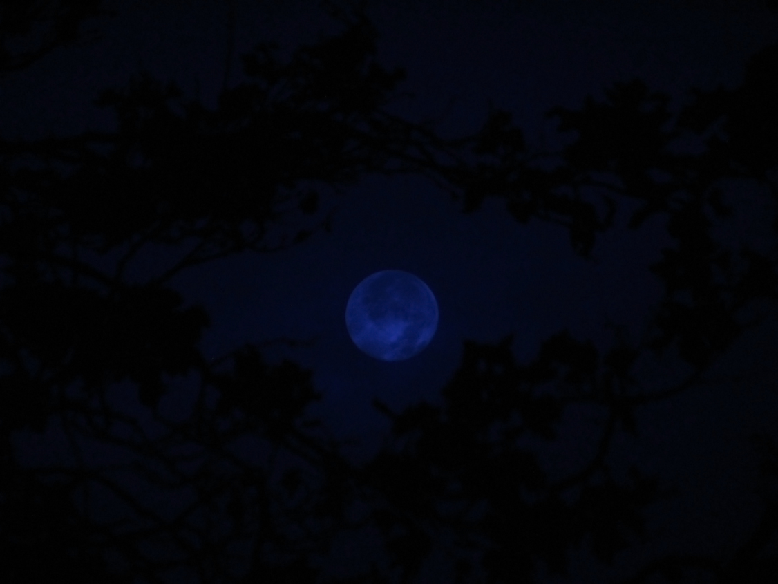 Blue Moon