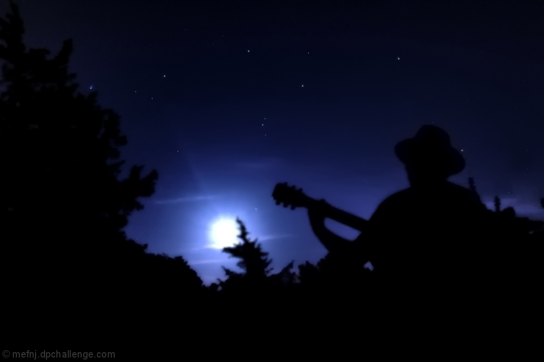 Moonlight Serenade