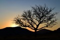 Waterberg sunset