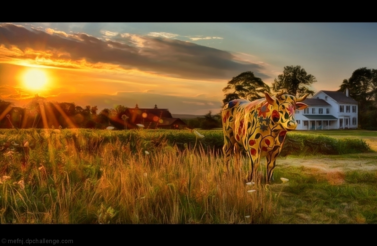 sunset stroll