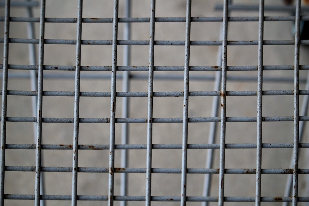 The Inside of a Shopping Cart