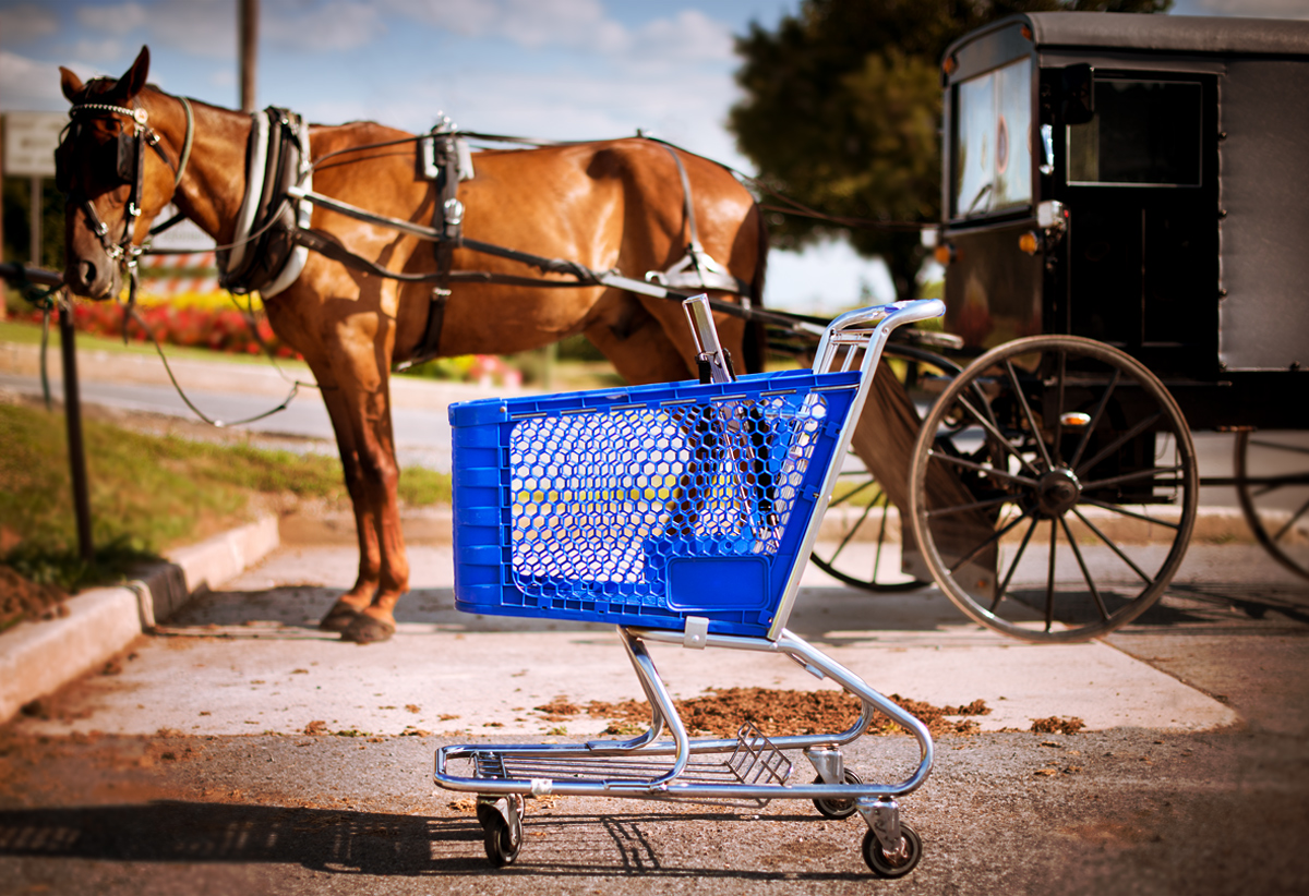 Amish Shopping Mall