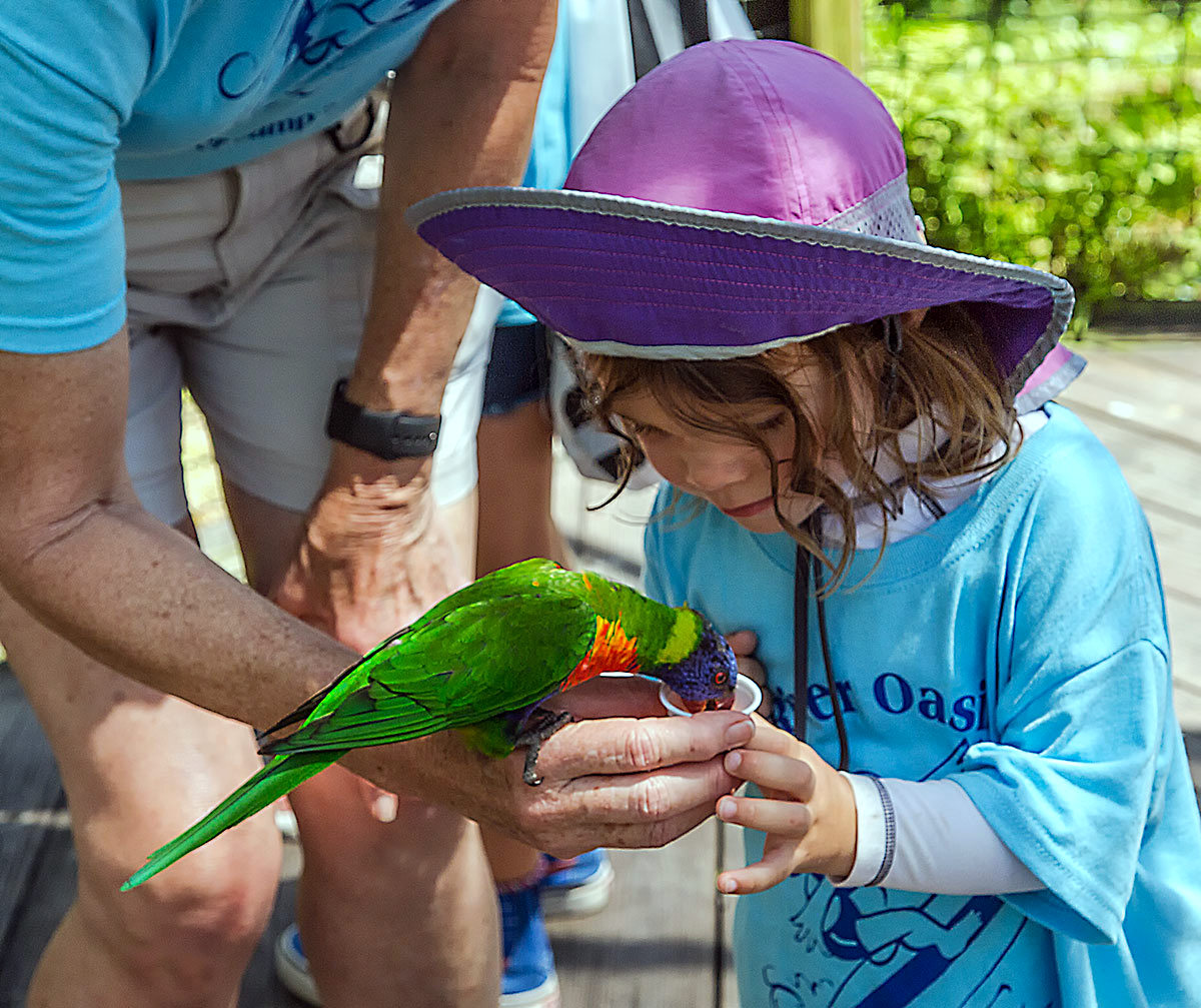 The Curiosity of a Child