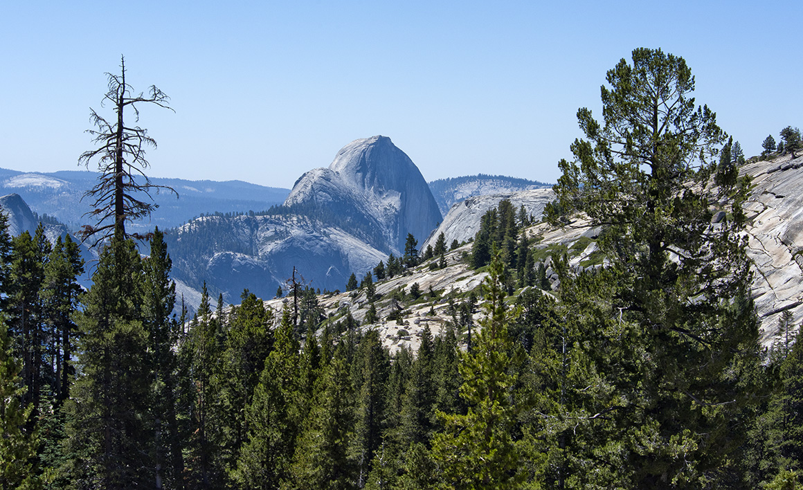 The Back Side of Half Dome