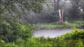 Morning rain