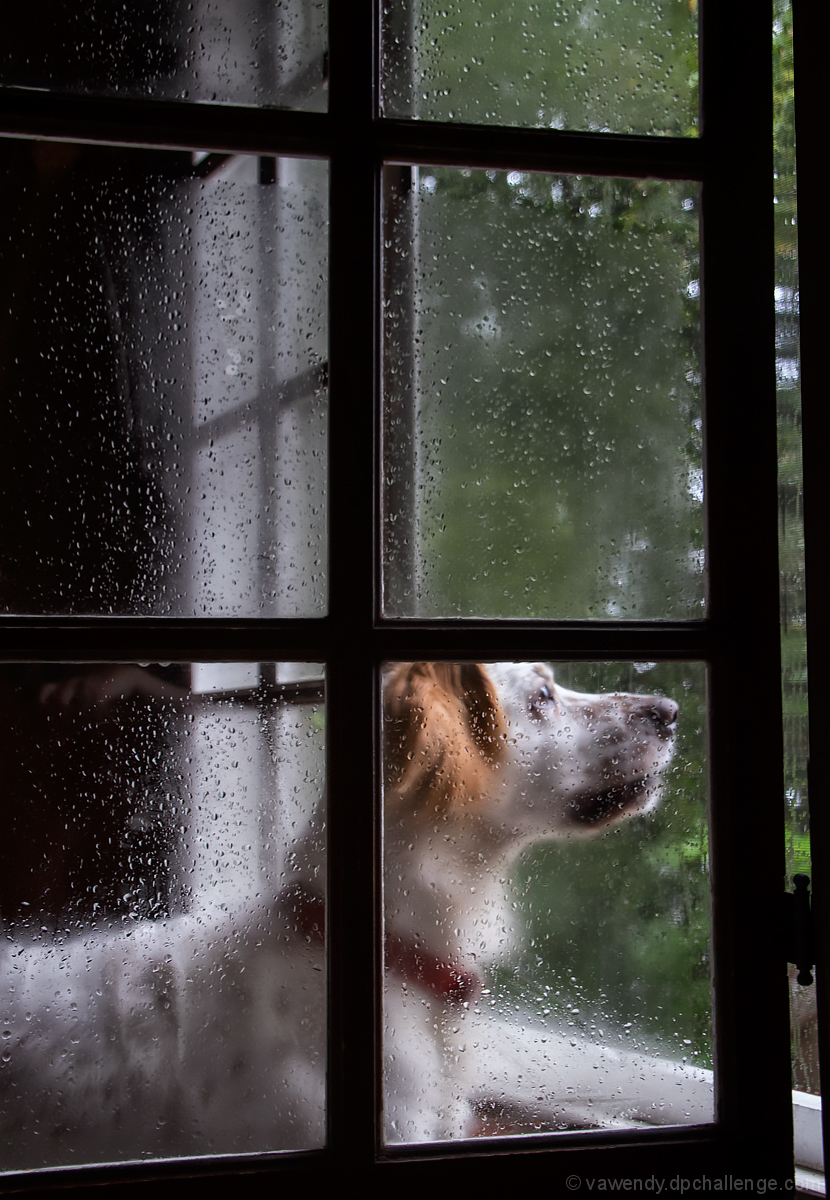 It was too wet to play... 