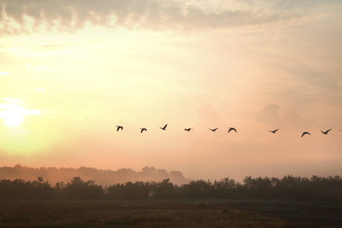 Sunrise Departure