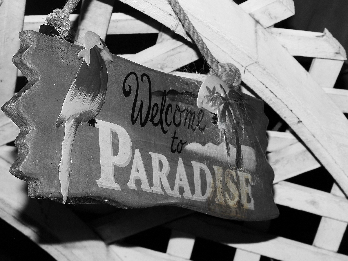 Paradise Lost