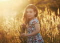 Fields of Gold