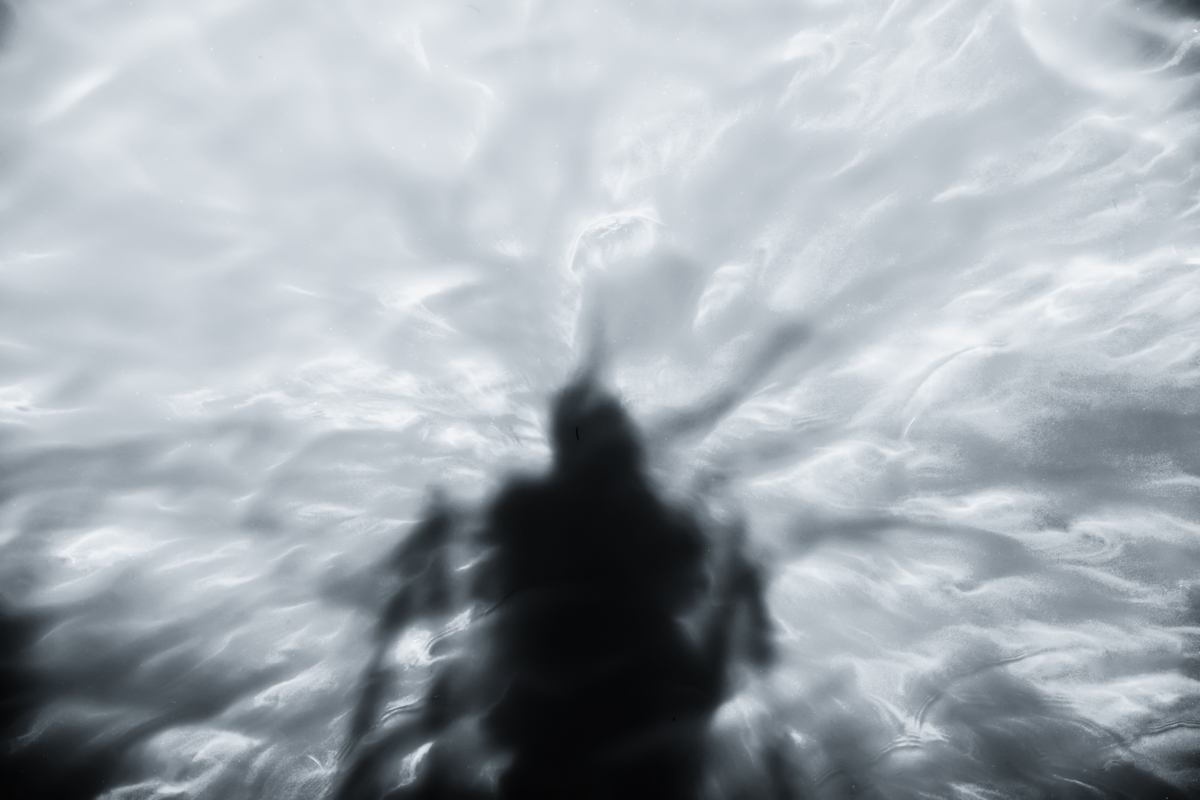 Liquid Mind