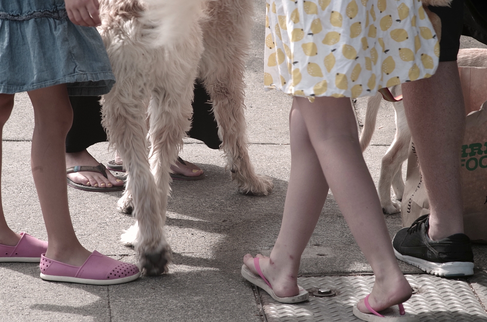 sidewalk cotillion