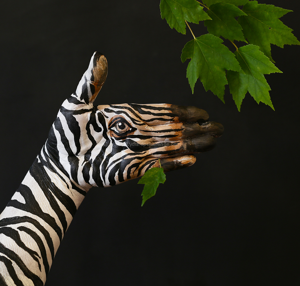 Zebra at Lunchtime