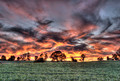 Sky on Fire -Rural Autumnal Sunset