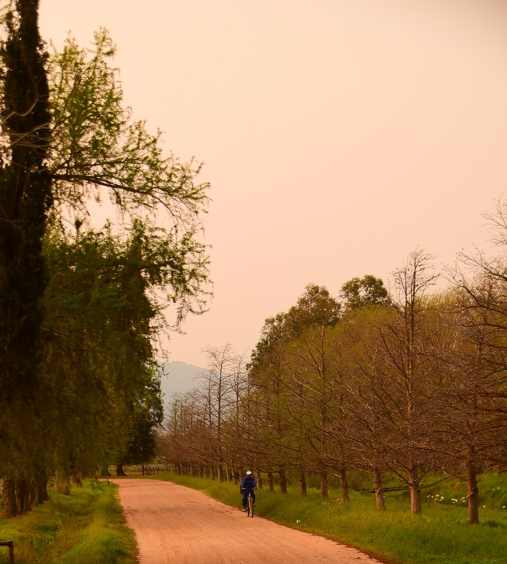 Country Road