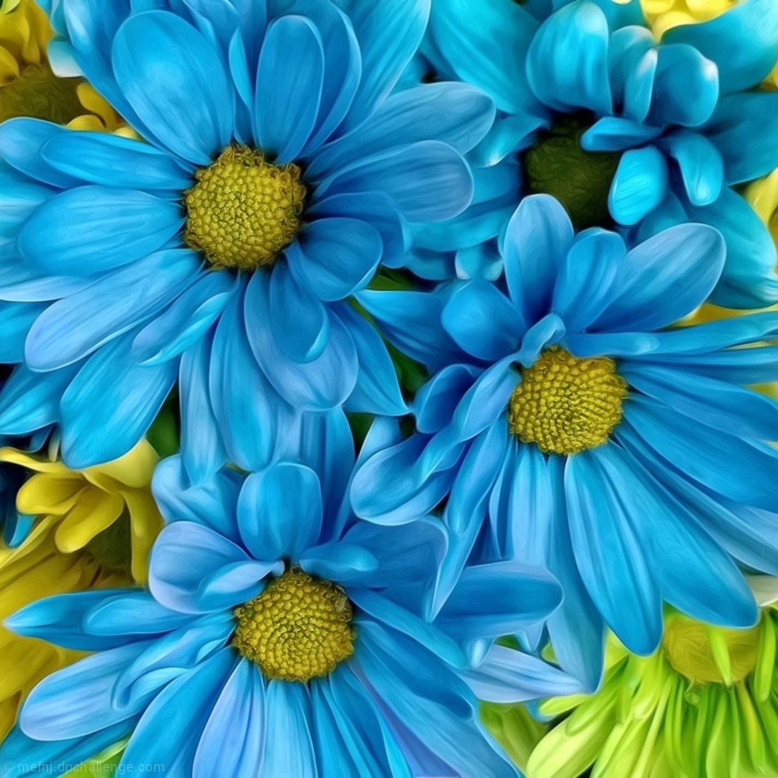 cerulean fantasy