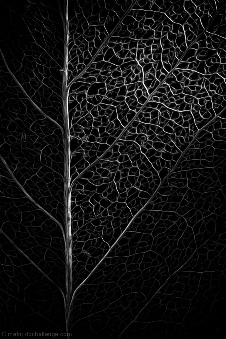 after the fall