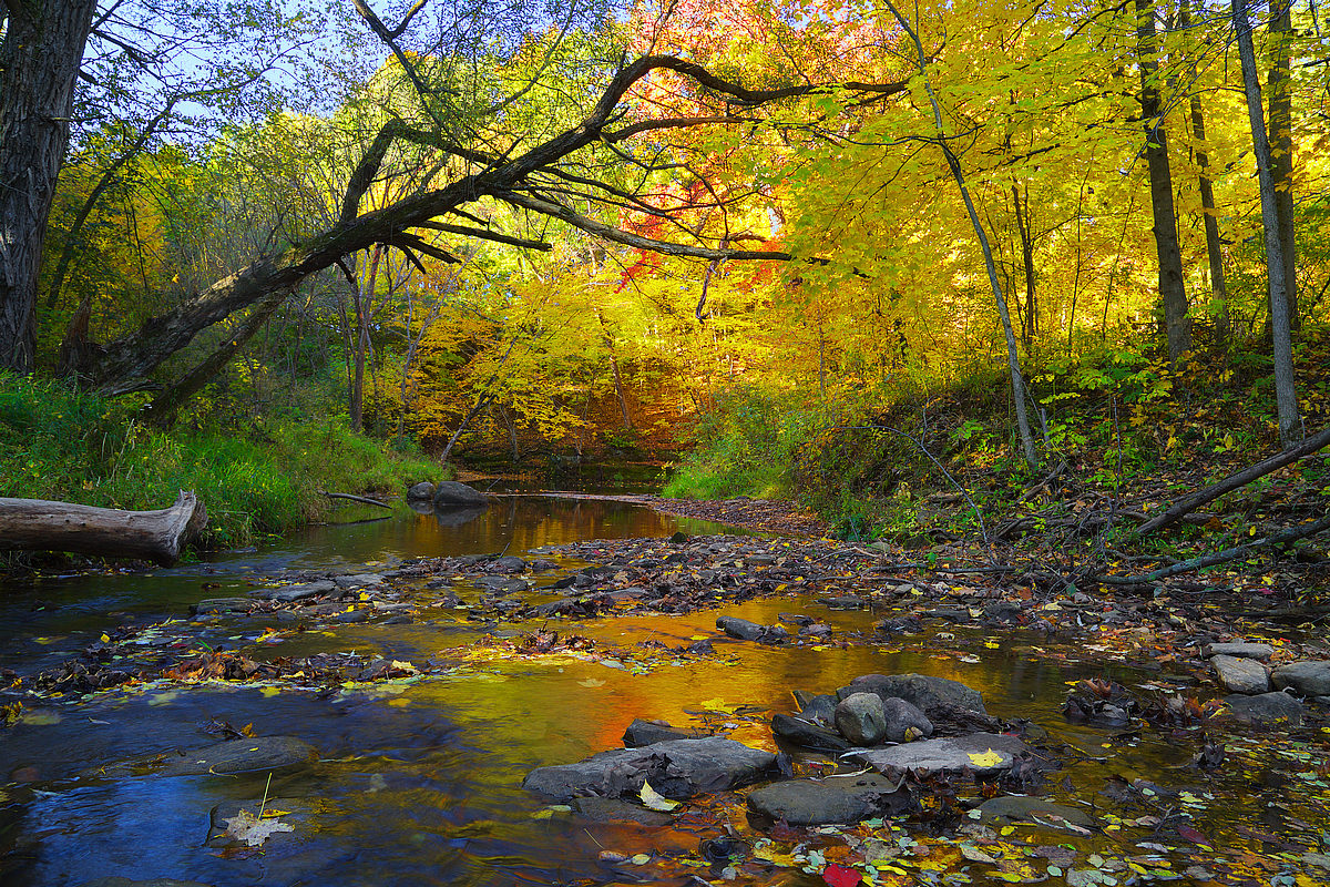 Down The Creek