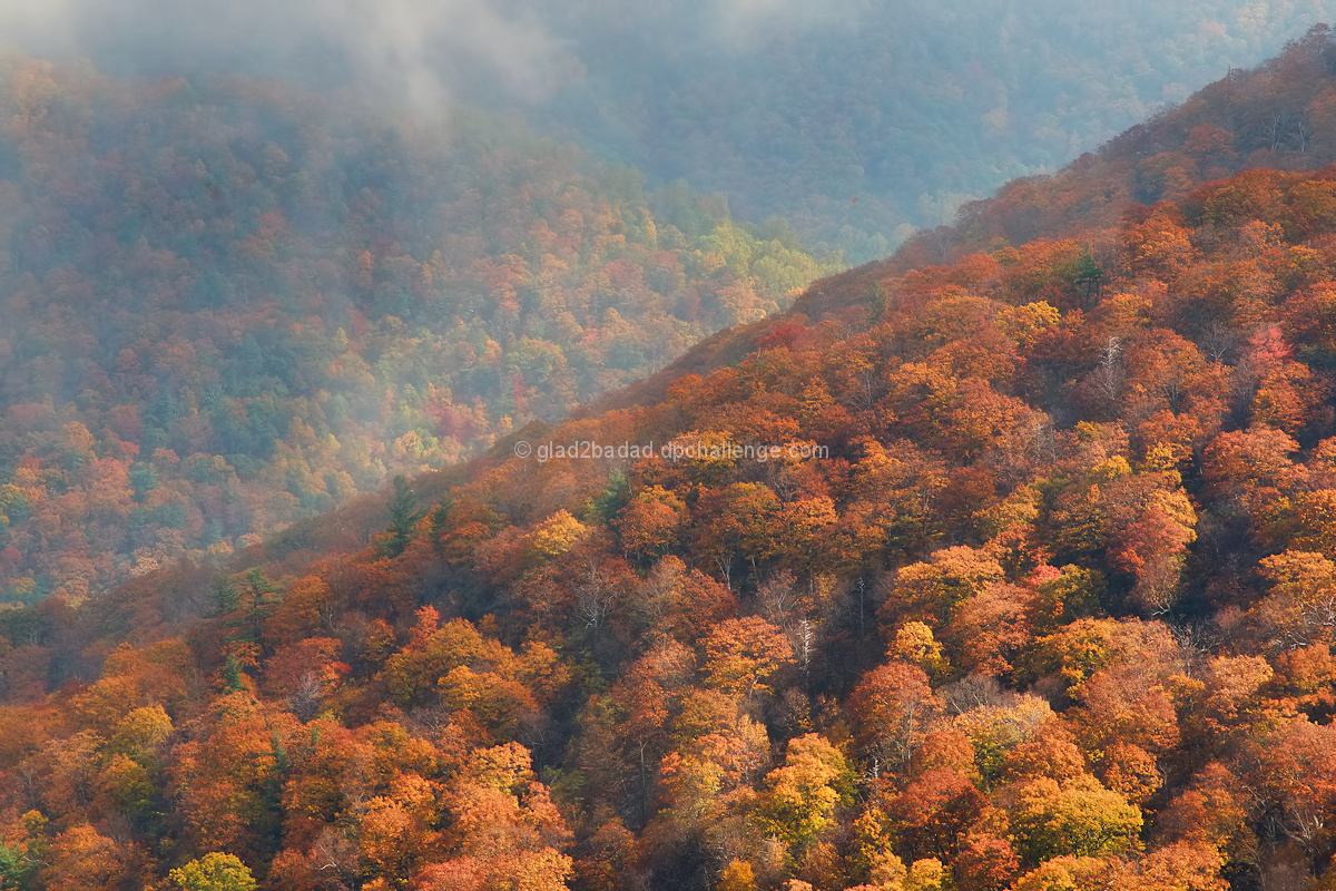 Shades of Orange