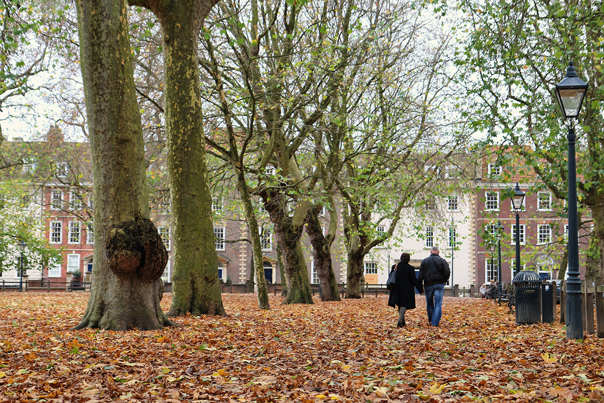 A walk in the park