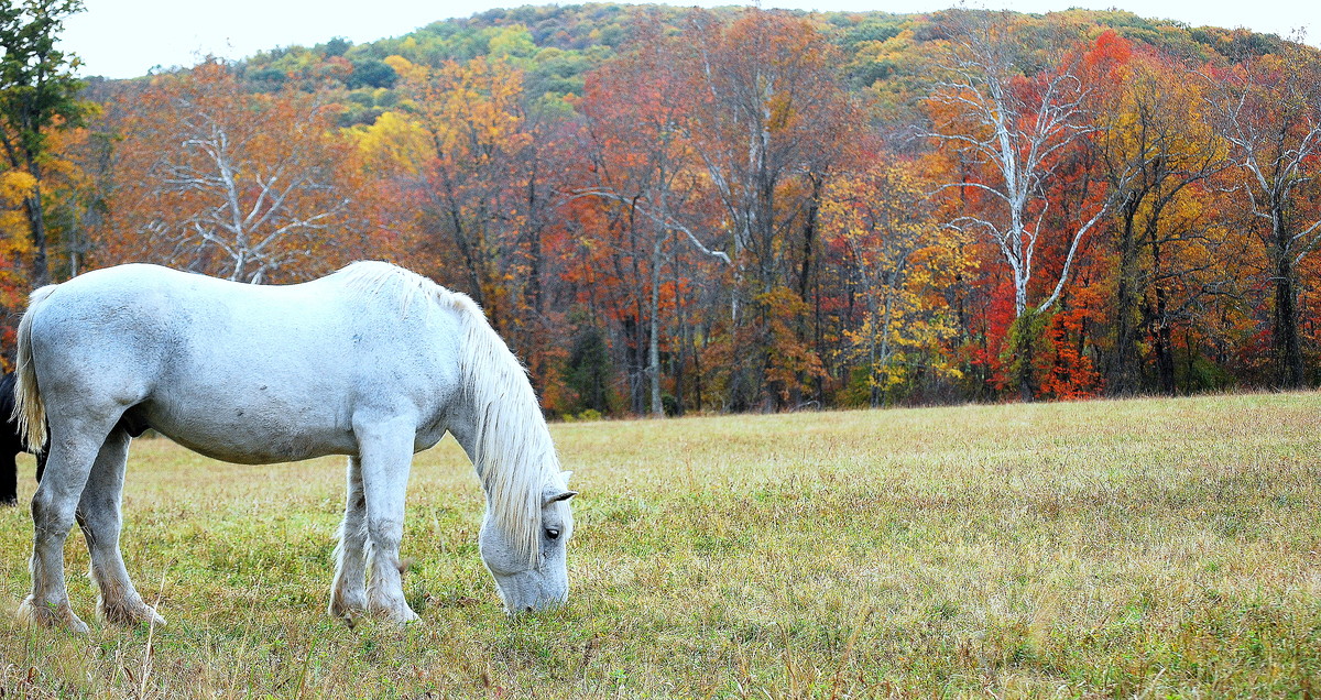 Outstanding in his field