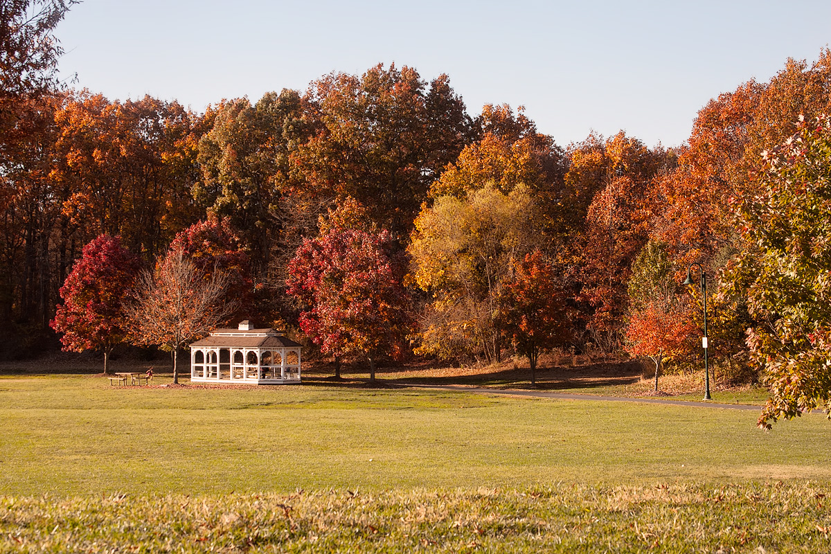 Connolly Park