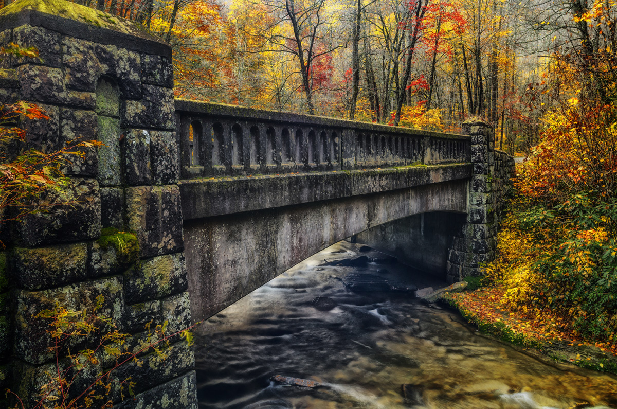 The Bridge At Moore's Cove