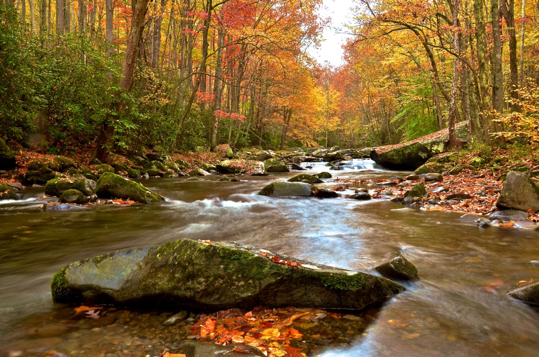 Roaring Fork