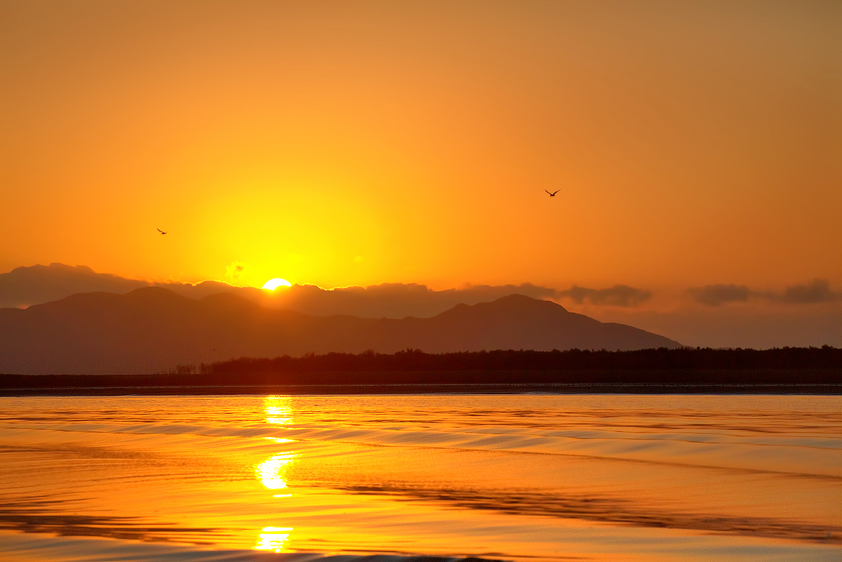 Birds and Sunrise