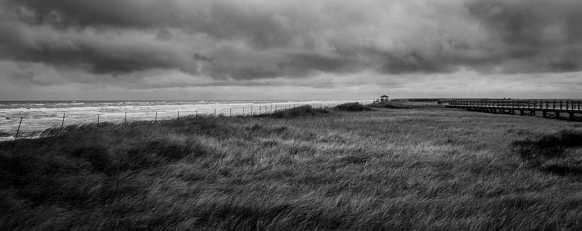 Windy Dunes