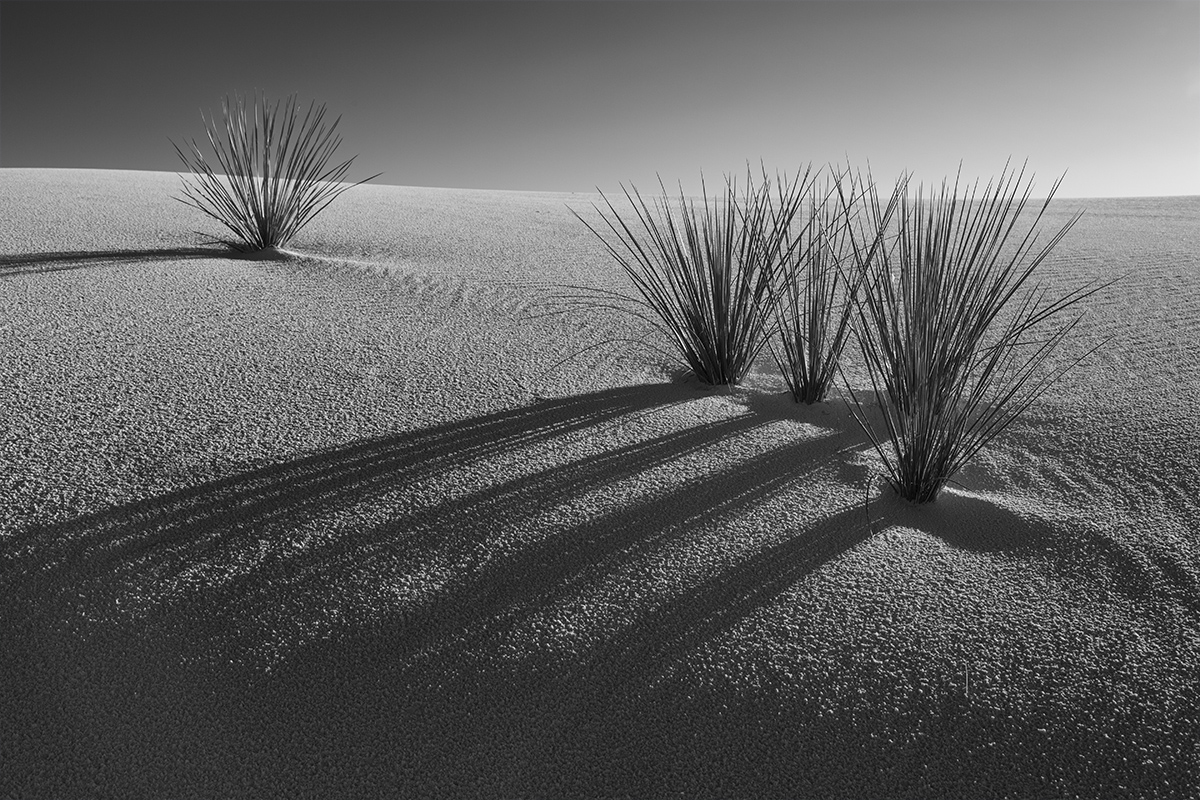White Sands Shadows