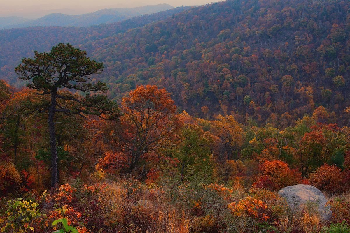 Sunrise at Mountain Meadow