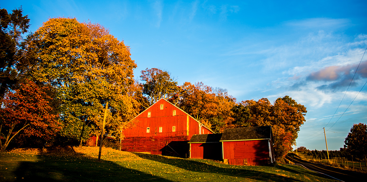 Country Living