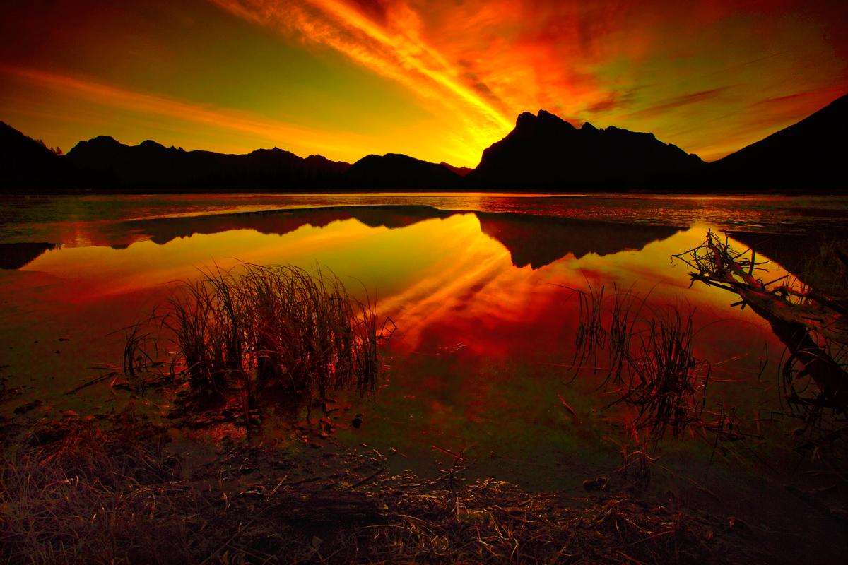 fire & Ice