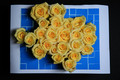 Yellow Rose of Texas