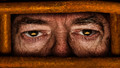 Windows to the Soul