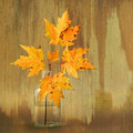 Autumn Bouquet