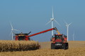 It's Time For Harvesting The Corn
