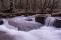 Go with the Flow