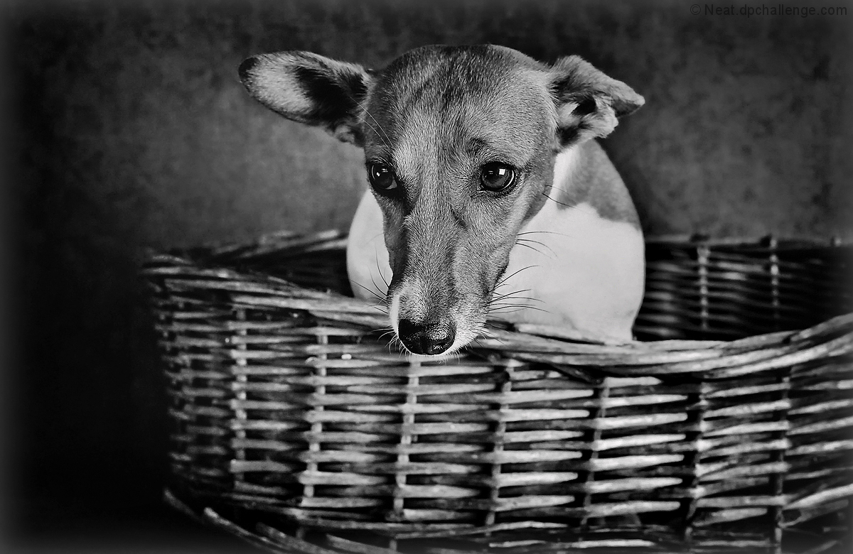 longing