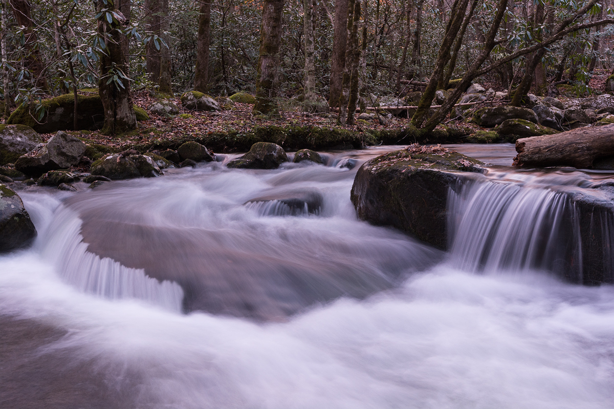 Go with the Flow